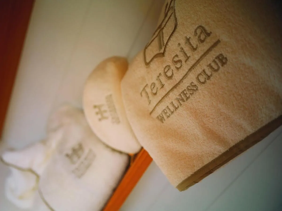 Teresita Wellness Club Apartment Viareggio